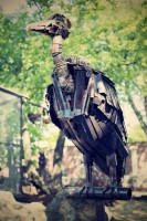 /album/fotogalerie-kovozoo-stare-mesto-jedina-kovova-zoo-v-evrope/kovozoo-21-jpg/